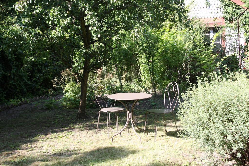 شقة كولمار  في Studio De La Petite Venise المظهر الخارجي الصورة